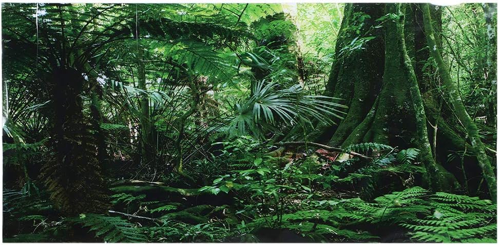Jonlaki PVC Reptile Box Rainforest Background Poster Self Adhesive Sticker Aquarium Decoration (61 * 41cm)