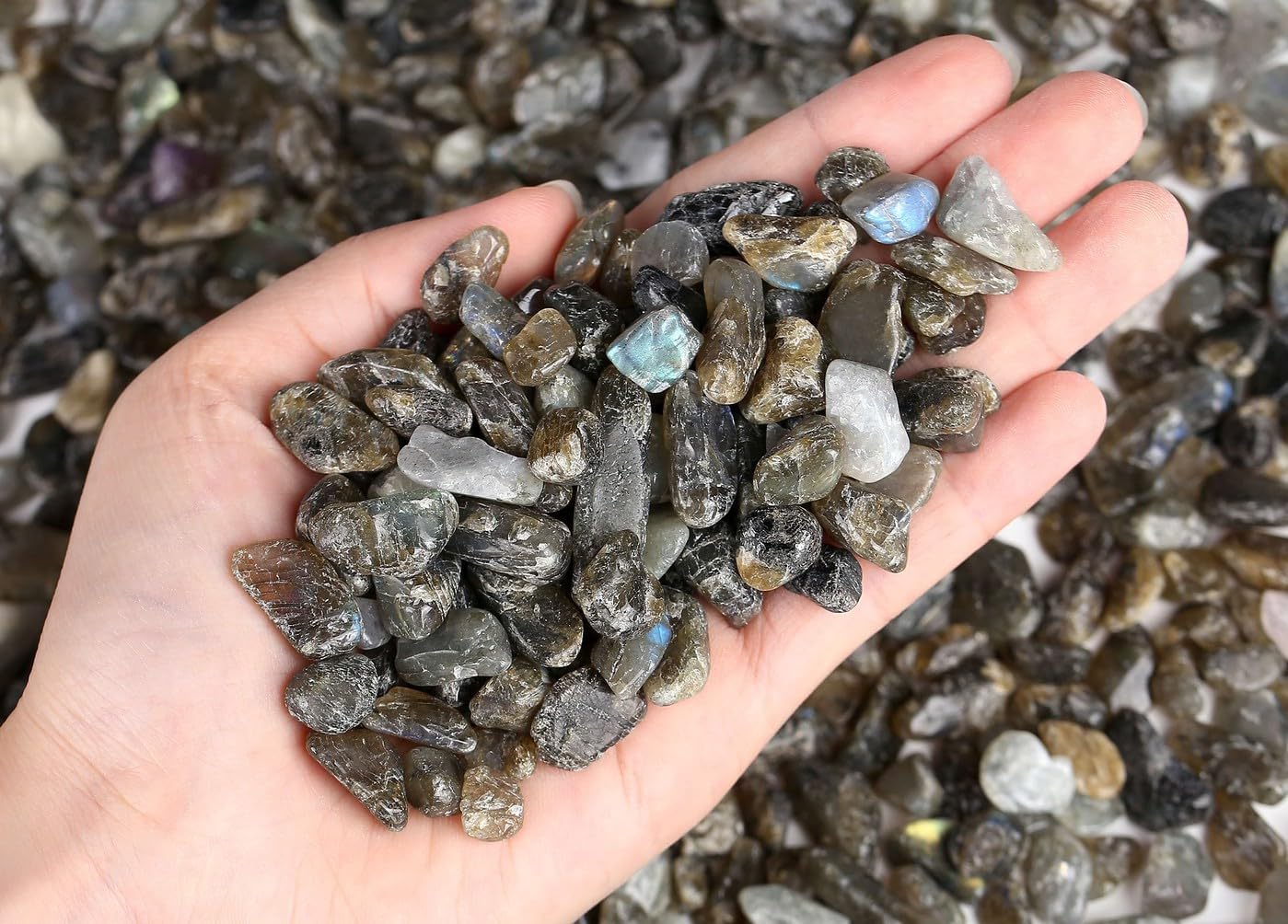 LAIDANLA Labradorite 1lb Crystal Polished Tumbled Stones Irregular Shaped Crystal Chips Bulk Natural Gemstone Aquarium Gravel Rocks Vase Filler Fish Tank Gravel Home Decoration