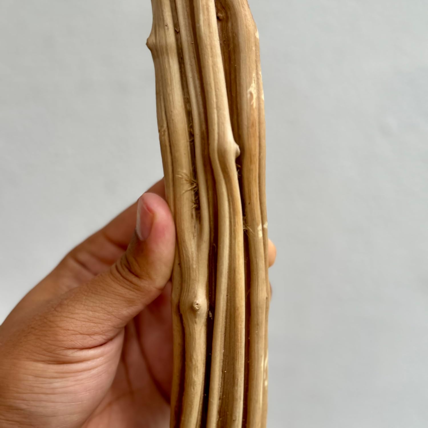 Azil Natural Vine Wood Branch for Reptile Terrarium – 17–20 Inch Climbing Decor for Lizard, Snake, Gecko, Chameleon, Bearded Dragon Tank (2 Piece)