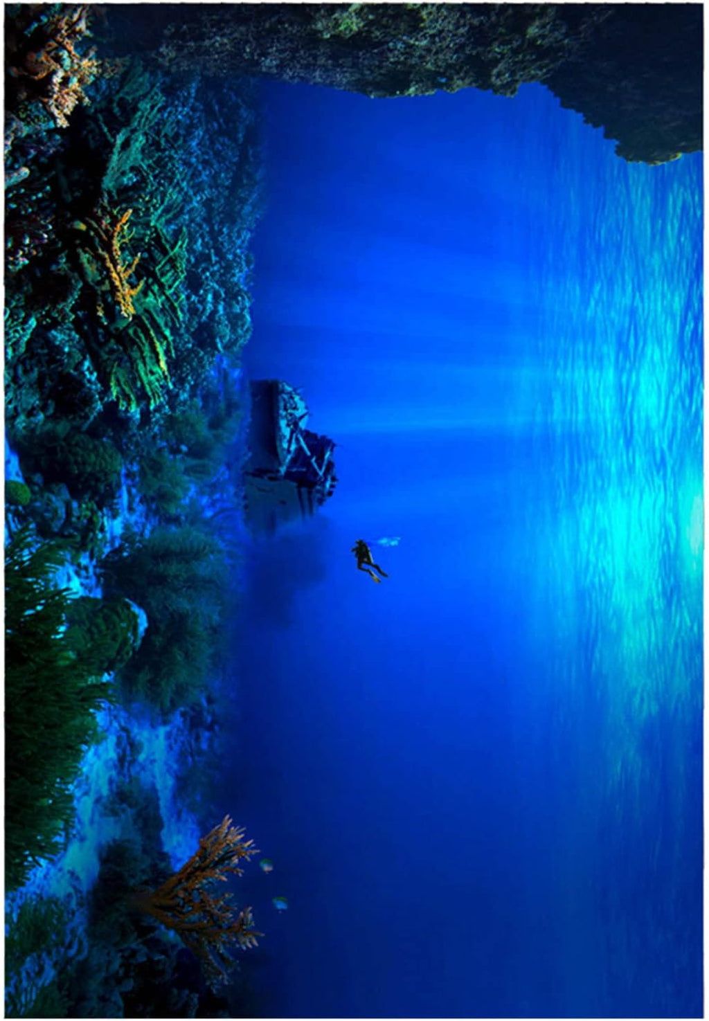 Changor Seaworld SelfAdhesive Aquarium Background Poster - Sea World Sticker for Beautiful Aquarium Decoration (91 * 50cm)