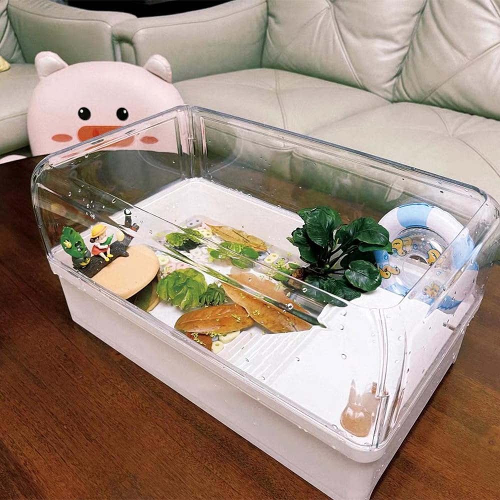 Flushbay Turtle Tank with Basking Platform Multi-Functional Areas Acrylic Turtle Aquarium Tank with 360° Panoramic View for Turtles, Crayfish Crab and Lizardt (White)