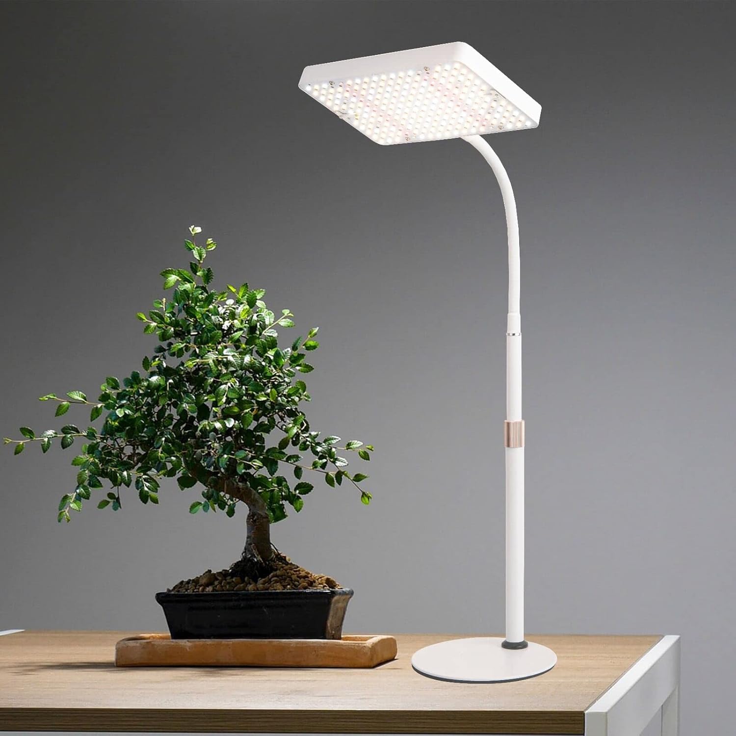 Tabletop Grow Light LED Full Spectrum UV IR, Veg Seed Starting Seedlings Bonsai Houseplant Plant Light, Desk Grow Lights for Indoor Plants, 16"-24" Height Adjustable