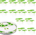 2 Pack Artificial Floating Plant Realistic Duckweed Decors for Aquarium Water Surfaces Enhancement