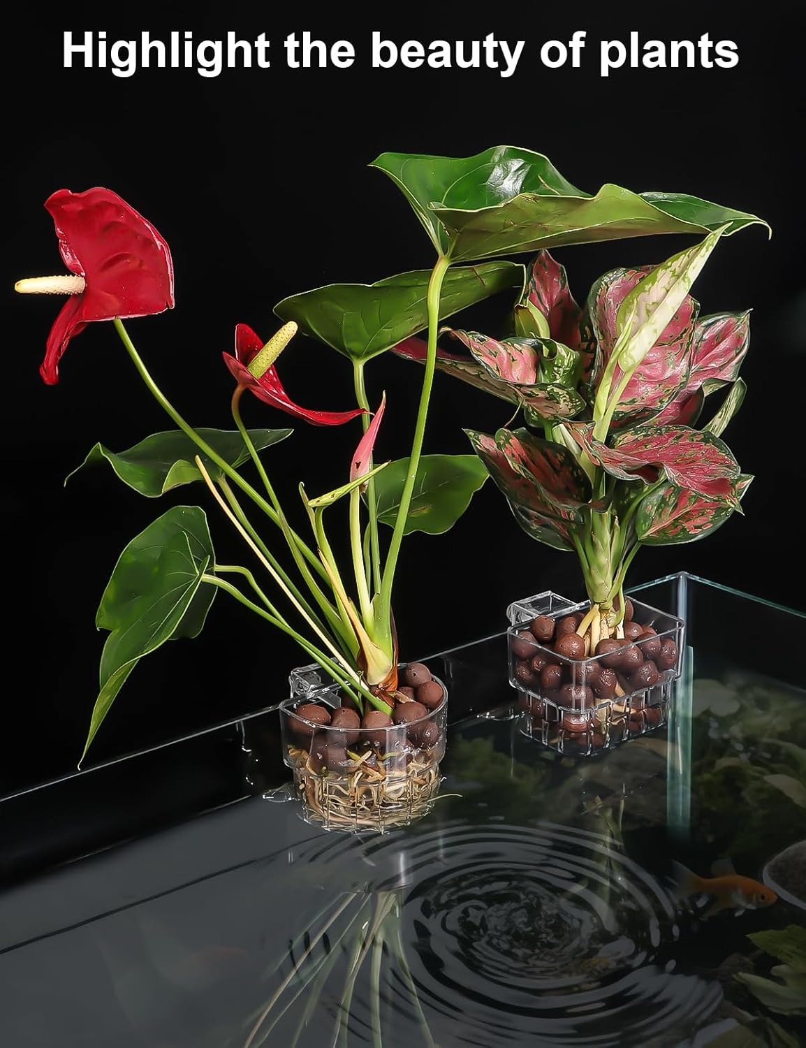 2 Pack Clear Aquarium Plant Holder Top Hanging Fish Tank Plant Holders Fits up to 0.8in Tank Edges, Aquarium Décor