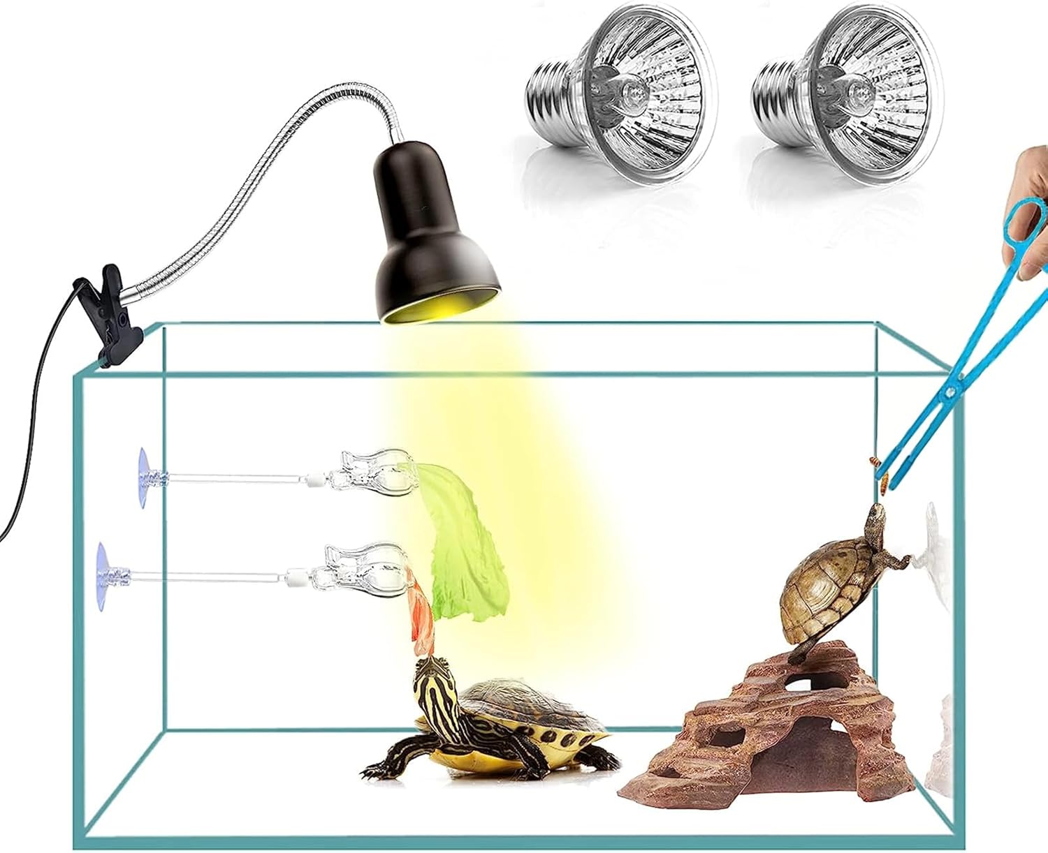 Reptile Heat Lamp Light, UVA UVB Reptile Light, Reptile Turtle Heating Lamps for Turtles Tortoise Lizards Snake Bird or Chick one Terrarium lamp Light +Two 25W Bulb+2 Clip+1tweezer