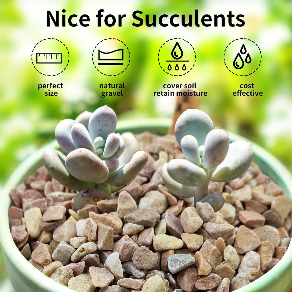 5lbs Natural Pea Gravel Pebbles, 3/8 Inch Decorative Succulent Rocks Pebbles for Indoor Plants. River Rocks for Vase and Outdoor Garden Landscaping Rocks