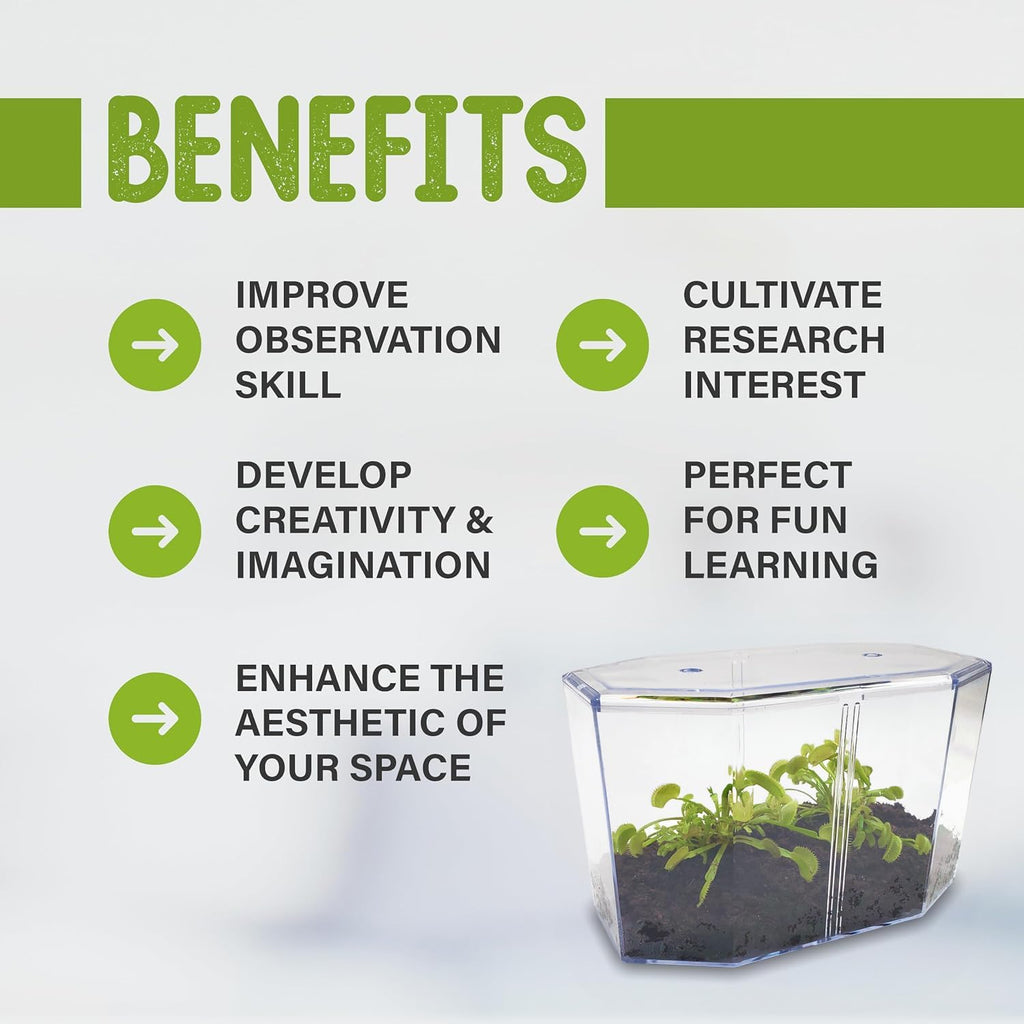 Double Venus Fly Trap Live Plant Set with Terrarium + Carnivorous Plants Food Bundle with Feeding Tweezers - Carnivorous Plant Soil and Live Indoor Venus Flytrap Pair