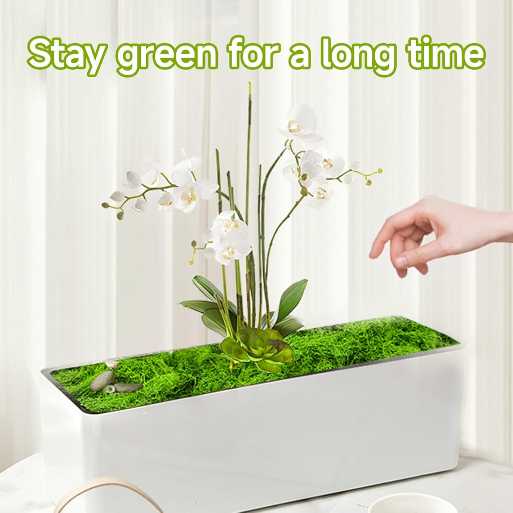 Fake Green Moss for Potted Plants Indoor, 5.3oz Artificial Moss for Crafts, Faux Decor for Fairy Garden, DIY Decorative, Model Making, Walls, Glass Containers, Home