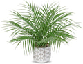 Hollyone Large Artificial Potted Plants Fake Palm Plants 16" Faux Green Plant Plastic Ceramic Tropical Palm Tree in Pots Bohemian for Home Room Office House Indoor Decorative