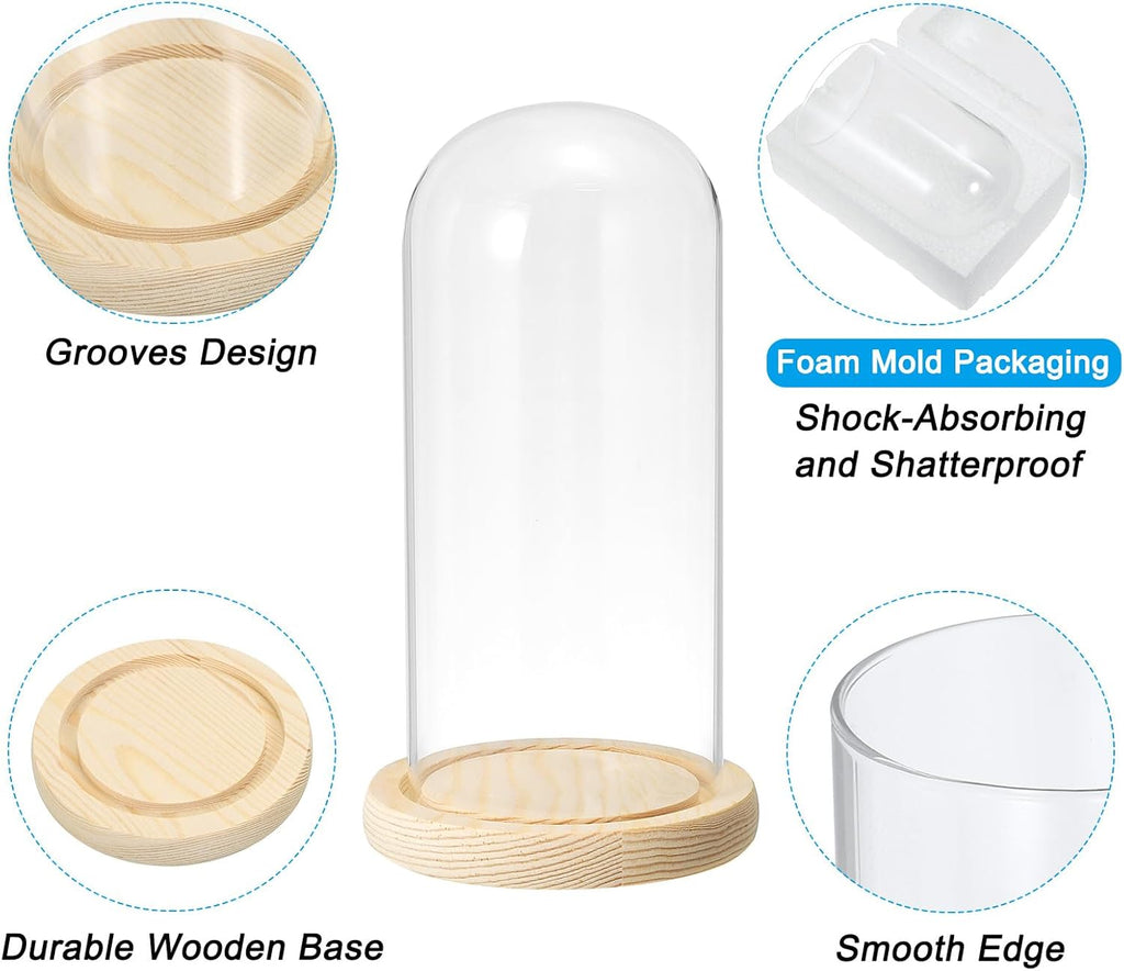 PATIKIL 7.9"x3.5" Clear Cloche Glass Dome, Glass Bell Jar Display Case Tabletop Centerpiece with Wooden Base for Plants Home Decor