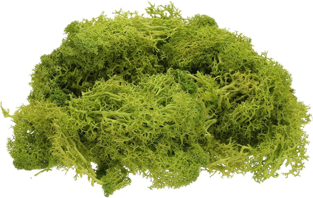 uxcell Preserved Reindeer Moss, 4 OZ Fake Moss for Crafts Artificial Dried Moss for Decoration, Craft, Terrariums, Potted Plants, Centerpieces Fairy Gardens (Chartreuse)