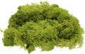 uxcell Preserved Reindeer Moss, 4 OZ Fake Moss for Crafts Artificial Dried Moss for Decoration, Craft, Terrariums, Potted Plants, Centerpieces Fairy Gardens (Chartreuse)
