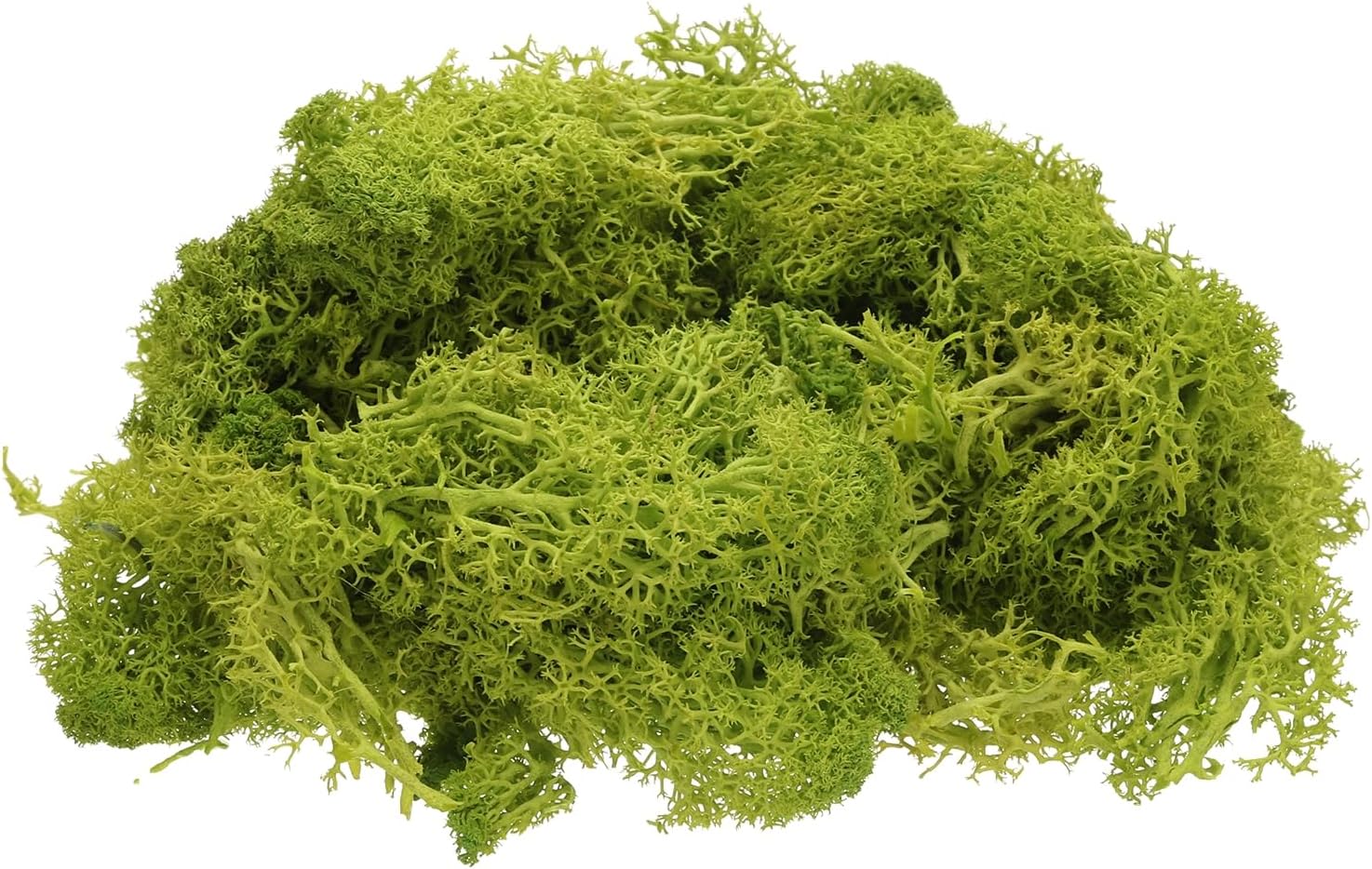 uxcell Preserved Reindeer Moss, 4 OZ Fake Moss for Crafts Artificial Dried Moss for Decoration, Craft, Terrariums, Potted Plants, Centerpieces Fairy Gardens (Chartreuse)