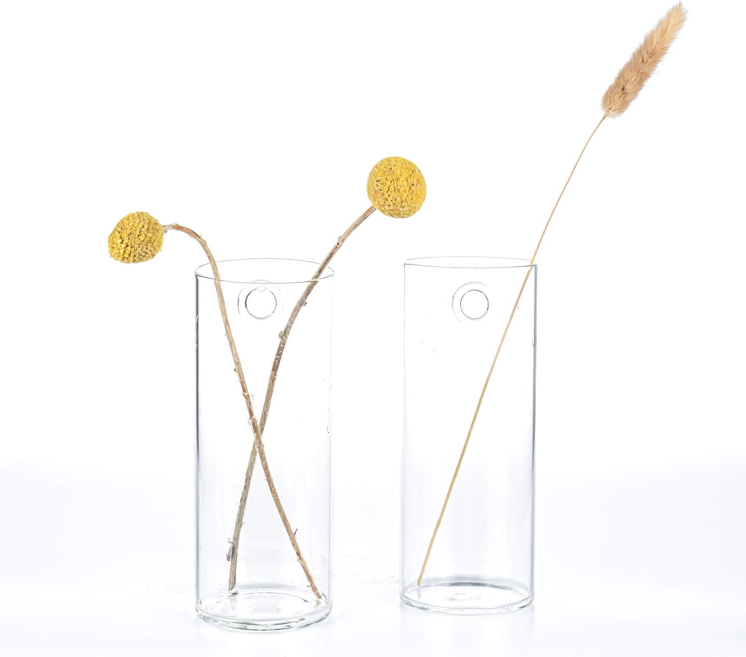 Kingbuy Glass Tube Wall Planter Propagation Station - 2 Pack Terrarium Cylinder Wall Vase with Plant Holder Hydroponic Planter for Home Kitchen Office Decor, Perfect Plant Lover Gifts (Short Cylinder)
