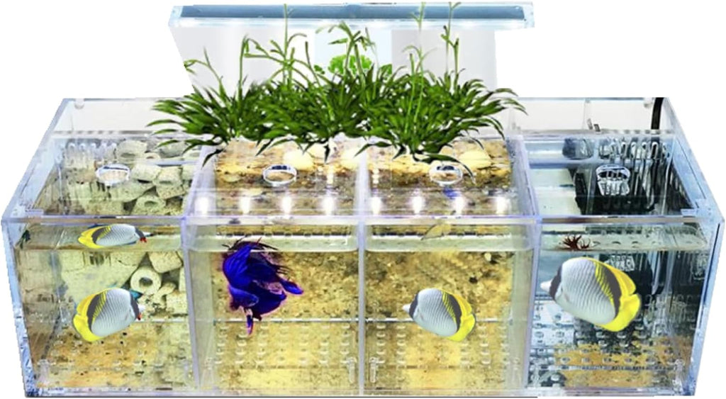 Acrylic Aquarium Transparent Fish Tank, Small Fish Tank with LED, Betta Fish Tank with 4 Grids, Dual Glass Desktop Mini DIY Aquarium, Multiple Betta Fish Tank for Table Furniture Decoration