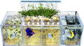 Acrylic Aquarium Transparent Fish Tank, Small Fish Tank with LED, Betta Fish Tank with 4 Grids, Dual Glass Desktop Mini DIY Aquarium, Multiple Betta Fish Tank for Table Furniture Decoration