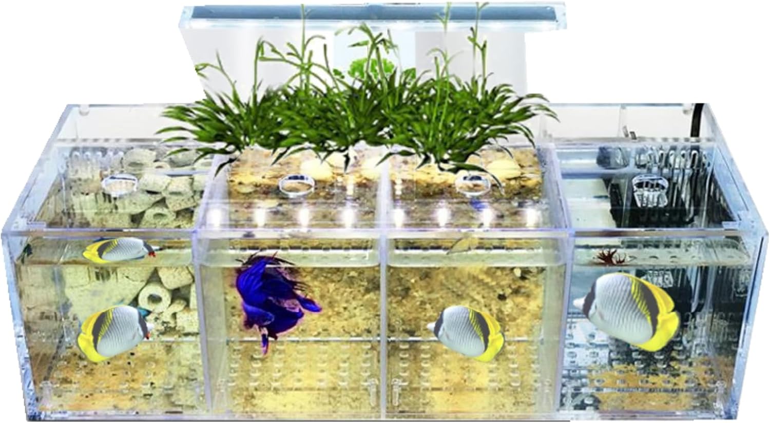 Acrylic Aquarium Transparent Fish Tank, Small Fish Tank with LED, Betta Fish Tank with 4 Grids, Dual Glass Desktop Mini DIY Aquarium, Multiple Betta Fish Tank for Table Furniture Decoration