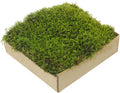 Preserved Moss for Crafts Potted Plants 2 sq.ft. Dried Natural Preserved Moss Mat Green Moss for Planters Crafts Woodland Decor Garden Party Decorations Wall Art DIY Project Green