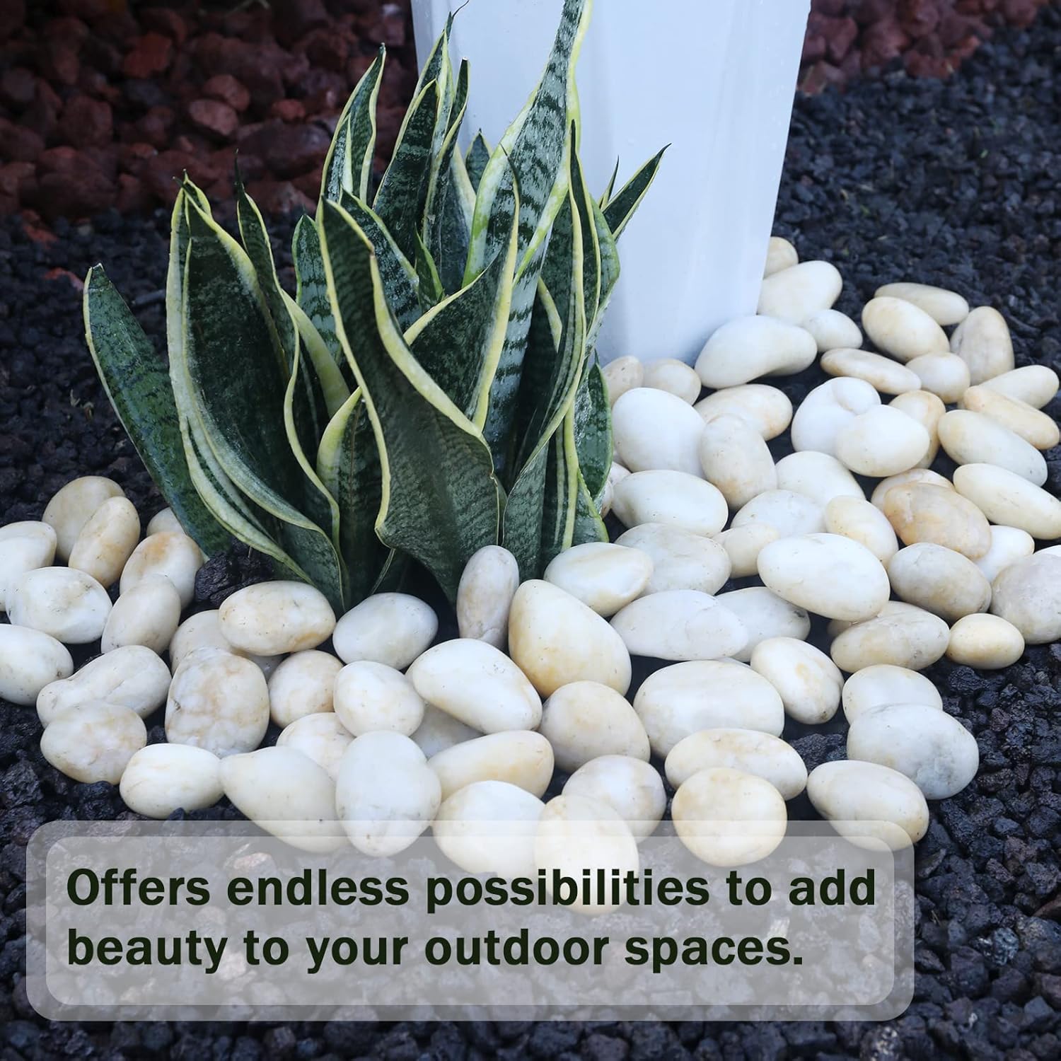 11LB Stones Pebbles River Rocks, 100% Natural Hand-Picked Premium Decorative Pebbles, Ideal for Garden Landscaping, Home Decor, Aquariums, Painting, Crafting and Gifts, Cream White