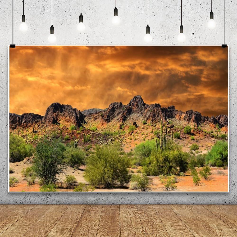 Laeacco 15x10ft Dusk Desolate Desert Backdrop Weathered Mountains Scenic Backdrop Natural Landscape Sunset Glow Cactuses Wedding Photo Studio Stage Perfomance Wallpaper Portrait Shoot Booth Props