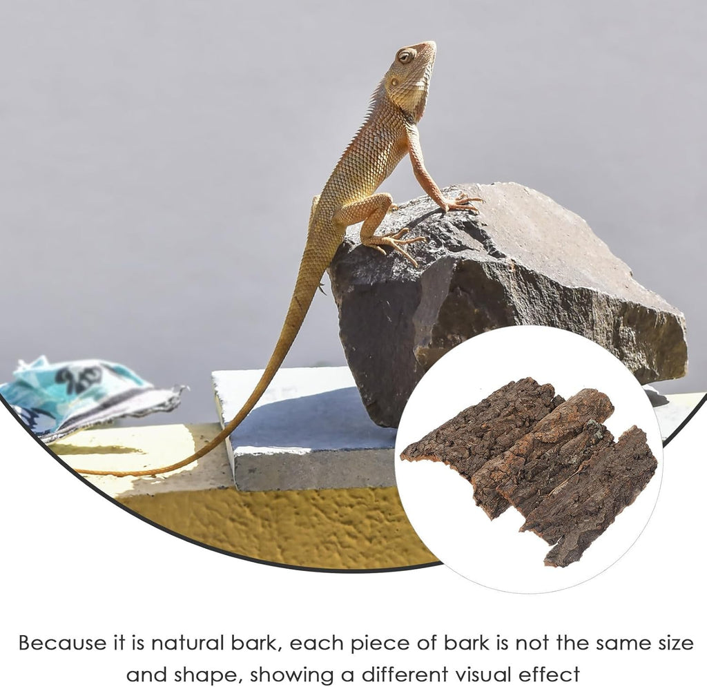 4pcs Reptile Bark Decor Wood Reptile Terrarium Bark Decor Cork Barks Hide for Spider Lizard, Light Brown, 5. 11 X 1. 49 X 0. 39 Inch