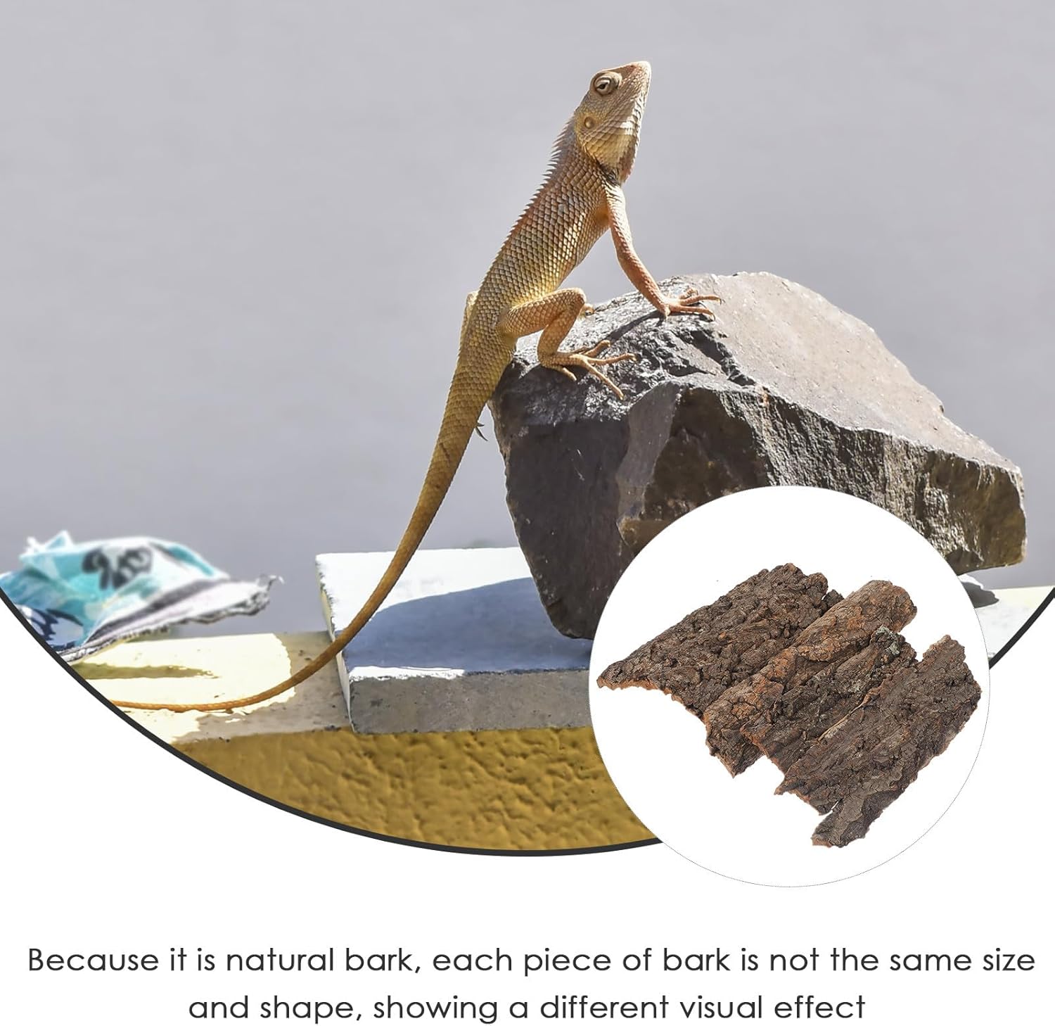4pcs Reptile Bark Decor Wood Reptile Terrarium Bark Decor Cork Barks Hide for Spider Lizard, Light Brown, 5. 11 X 1. 49 X 0. 39 Inch