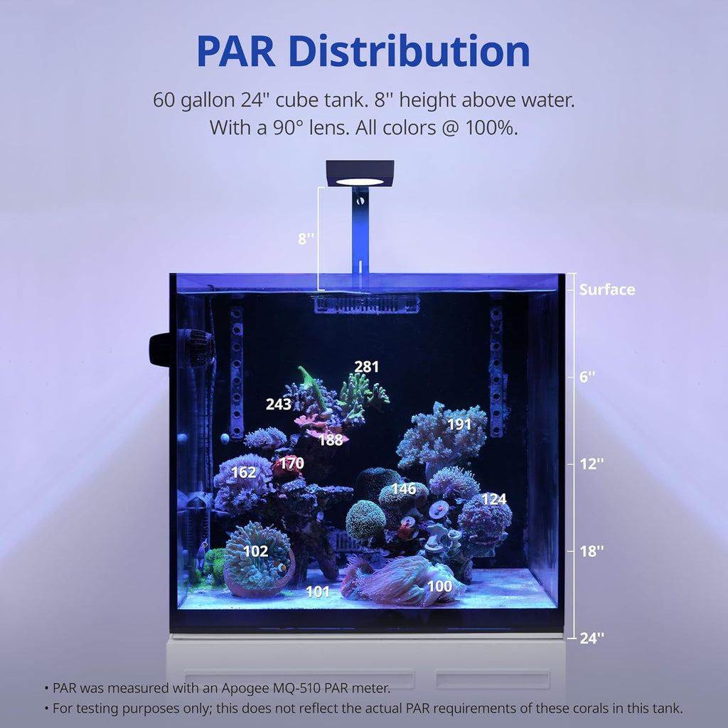NICREW NavaReef 65 Reef LED Light, 65W Reef Aquarium Lighting for Soft/LPS Corals and Saltwater Fish Tanks, Built-in Timer, Blue Focused Spectrum