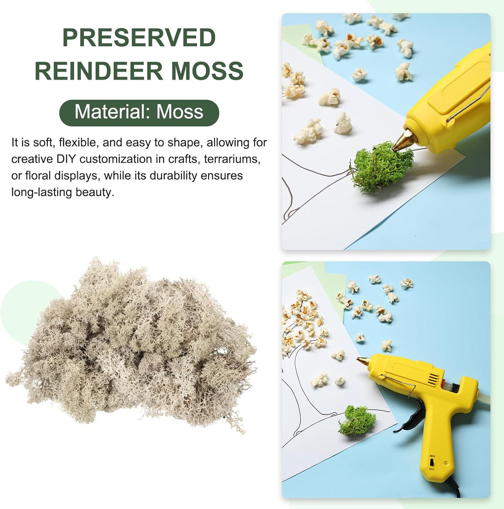 MECCANIXITY 4.6oz Preserved Reindeer Moss, Brown Decorative Artificial Fake Moss for Potted Plants Indoor Crafts Lichen Centerpieces Decor