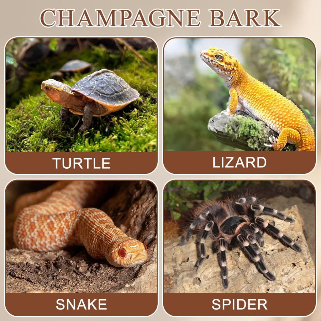Totority Natural Cork Bark 4 PCS Cork Terrarium Background Natural Reptile Bark Backdrop Reptile Climbing Mat Habitat Decor for Spider Lizard Chamelon Turtle Beared Dragon