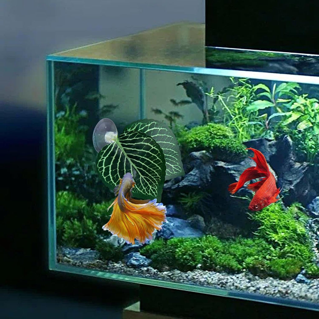 Betta Bed Leaf Hammock - Realistic Aquarium Leaf Pad, Lightweight Breeding and Spawning Resting | Fish-Tank Accessory for Supporting Betta Rest, Breeding, and Relaxation During Home Aquariums