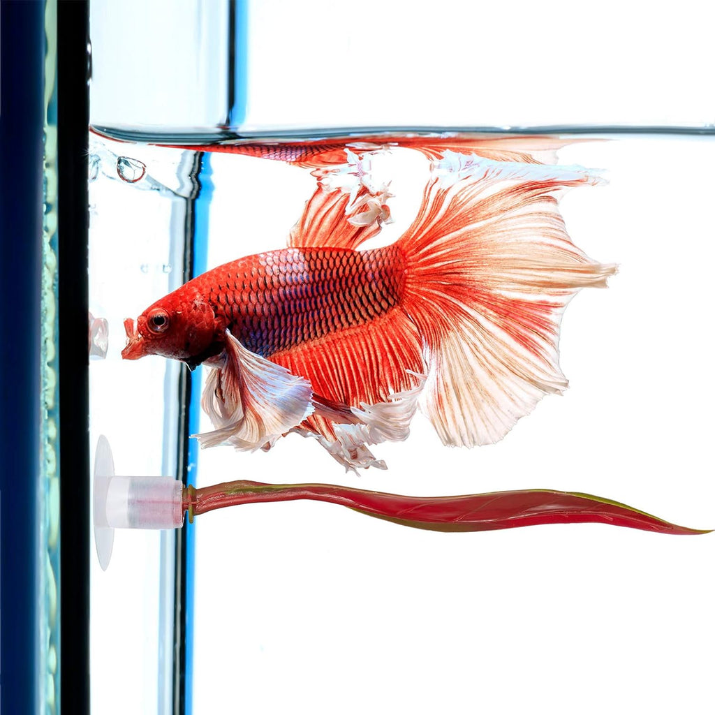 WILLBOND 2 Pieces Silicone Betta Fish Bed Leaf Hammock Betta Fish Tank Accessories, Practical Resting Spot, No Bpa, Comfortable and Safe(Red)