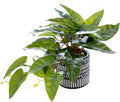AlphaAcc Faux Plant Decor Potted Artificial Small Greenery Ivy Leaves Plants with Black and White Geometry Patterns Cement Pot for Office Desk Home Kitchen Decoration (Taro Leaf)