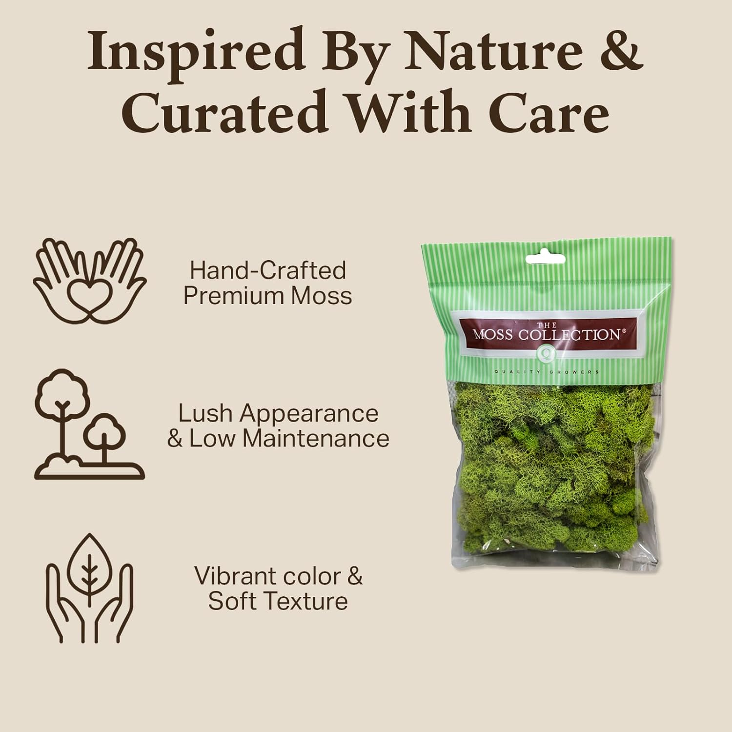 Quality Growers - Preserved Reindeer Moss - Moss for Crafts, Home Decor, Art, Design & DIY Projects - Non-Toxic - USA Made (Chartreuse, Medium, 2-Pack)