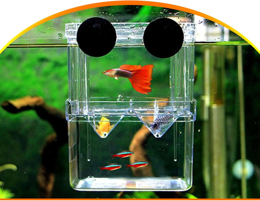Acrylic Fish Breeding Box Double Layer Aquarium Tank Fishes Isolation Box with Suction Cup for Fry Hatchery Injured Care Divider Container for Small Ornamental Fishes Shrimp (Large)