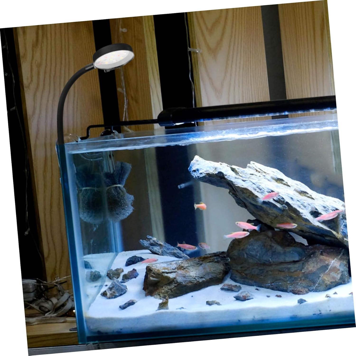 VILLCASE 2PCS USB Aquarium Light Compact Fish Tank LED Lamp for Mini Tanks with Flexible Design Bright Gentle Plant Growth Lighting for Aquatic Ecosystems USB Powered for Home Office Dorm