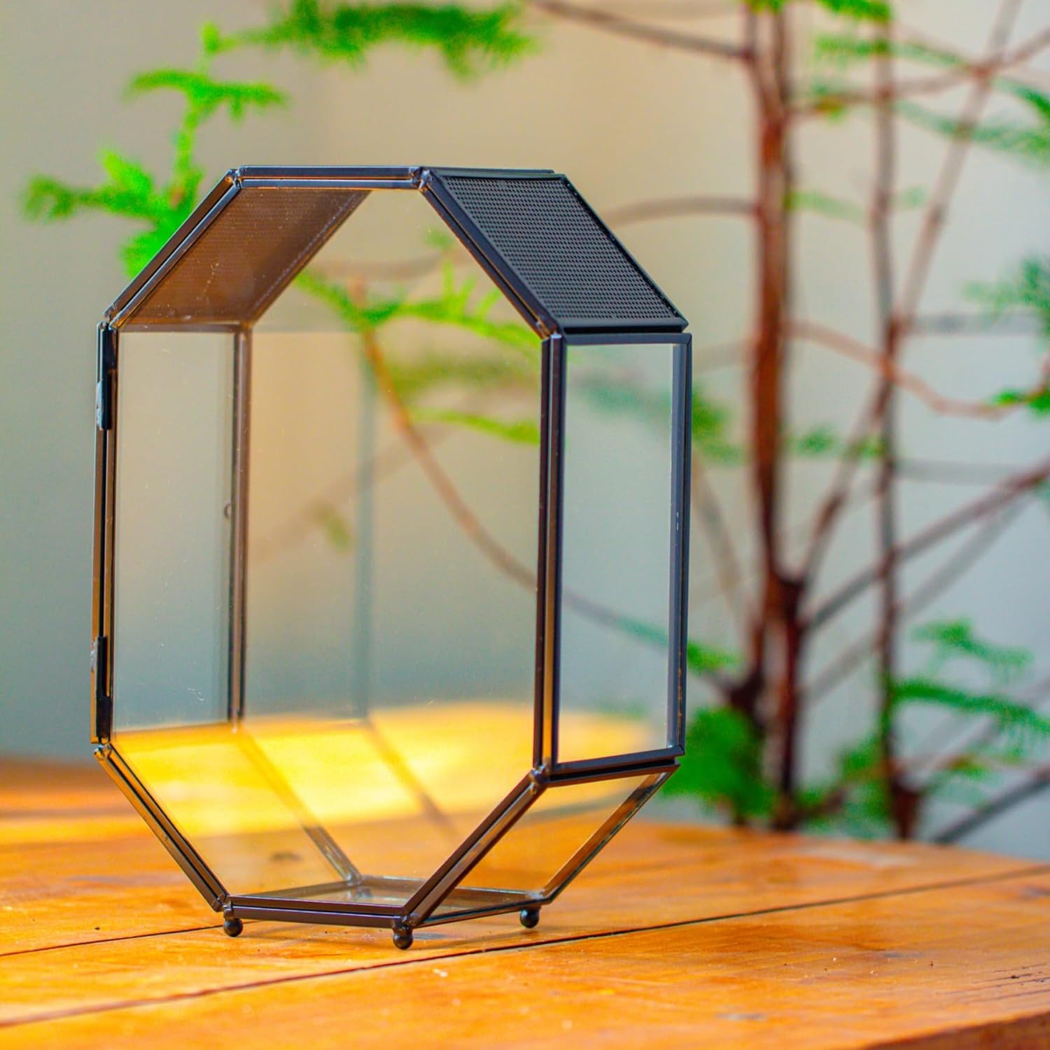 NCYP Glass Enclosure Terrarium with Mesh and Door for Jumping Spiders, Insects - Octagon Shape Small Succulents Terrarium 6.2 x 3.1 x 8.7 inches, Black Tabletop Decor (Plants Not Include)