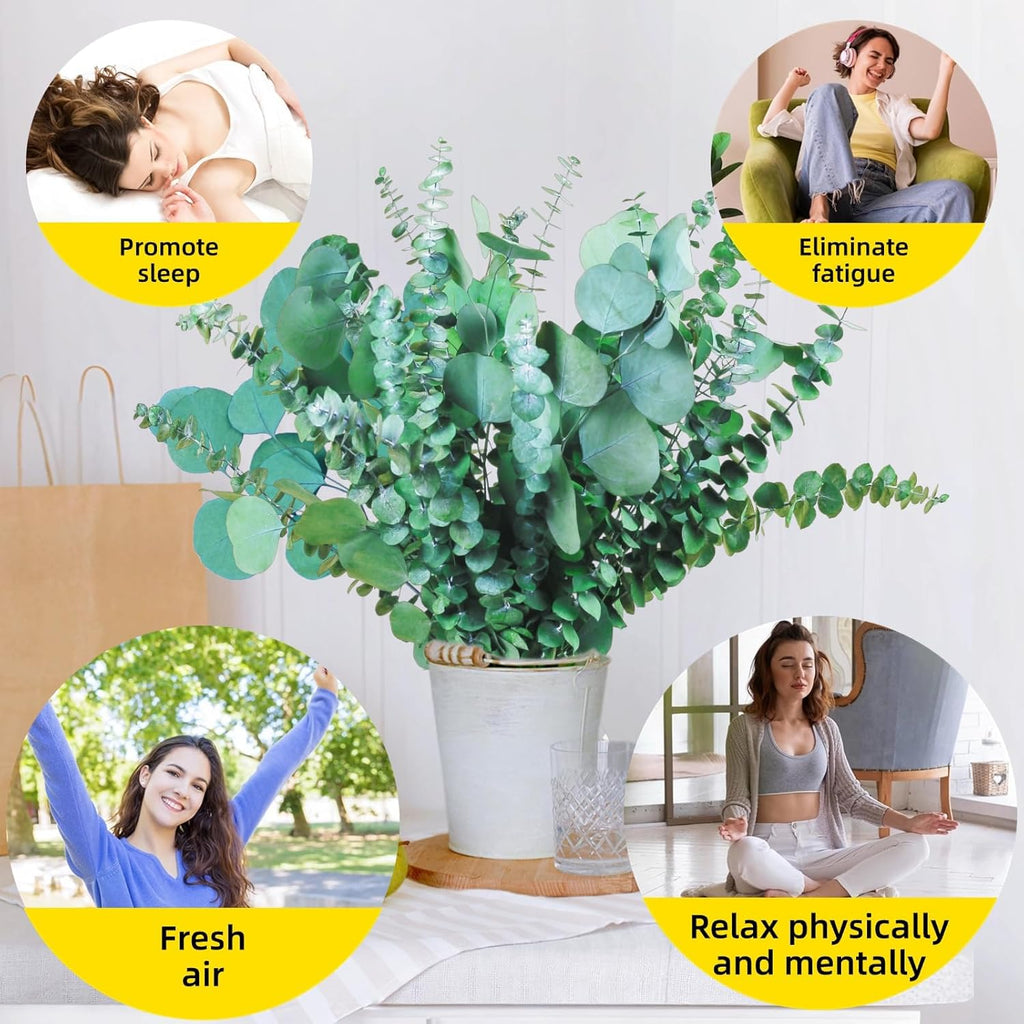 32 Pcs Large Dried Eucalyptus & Silver Dollar Leaves Bundle - 100% Natural Real Fresh Plants, 17" Preserved Eucalyptus Stems for Shower Hanging, Bathroom Decor, Garland, Greenery Plant (32)