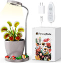 Venus Fly Trap Terrarium,Butterwort Plant Live Pot,Not Live Plant, Automatic Irrigation System Keeps Potted Soil Moist Makes a Great Gift Choice, Home Office Decor