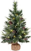 deeinglif 2ft Mini Christmas Trees 24" with LED Lights and Pine,Tabletop Branches Cones and Cloth Bag Base Home Party Dining Room Window Decoration for Christmas