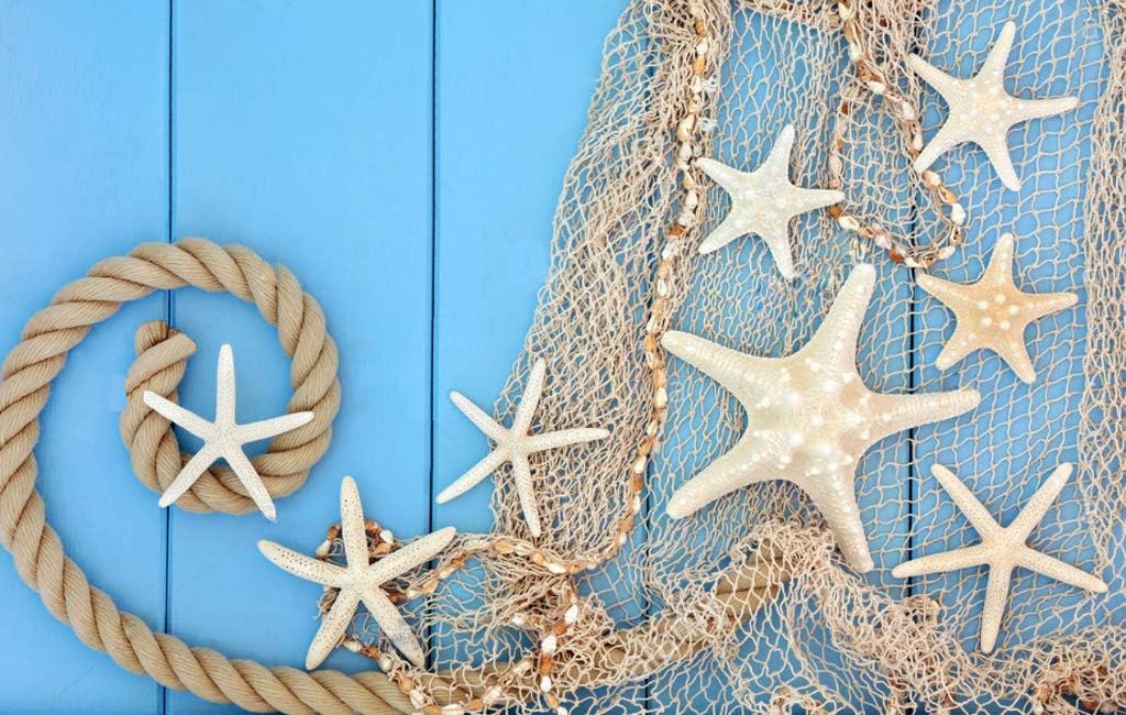 79 x 59 inch Nature Fish Net Wall Decoration with Colorful Sea Shells and 10 Pcs Natural Starfish Ocean Themed Mediterranean Style Fishing Net for Beach Party,Wedding,photography Wall Decoration
