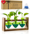 Nacome Plant Terrarium Propagation Stations: Christmas Gifts for Plant Lovers Women Mom Wife - Wooden Stand Tabletop Planter 3 Bulb Glass Vase Heart Shaped for Hydroponics Indoor Home Decor(Green)