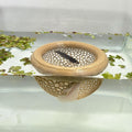 Aquarium Floating Betta Fish Skins, Betta or Shrimp Feeder, Cave and Hammock, Small Fish Feeding Rings, Aquarium Hiding Feeding Decorative Accessories (Wood Color)