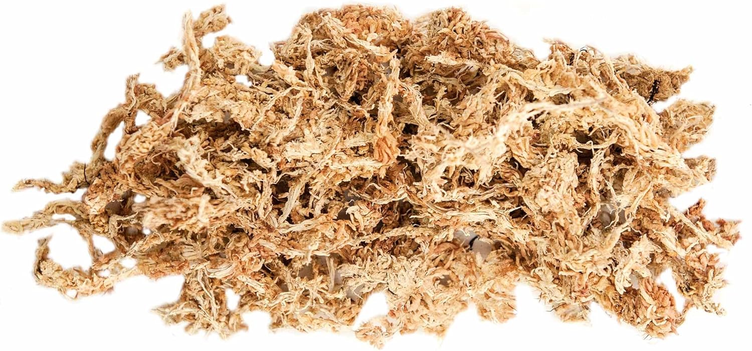 Galápagos (05203) 5-Star Golden Sphagnum Moss | Long-Fiber Snake Bedding, Reptile Substrate & Terrarium Moss for Frogs, Toads, Carnivorous Plants, Leopard Geckos, Snakes, and Amphibians, 1/3 Pound