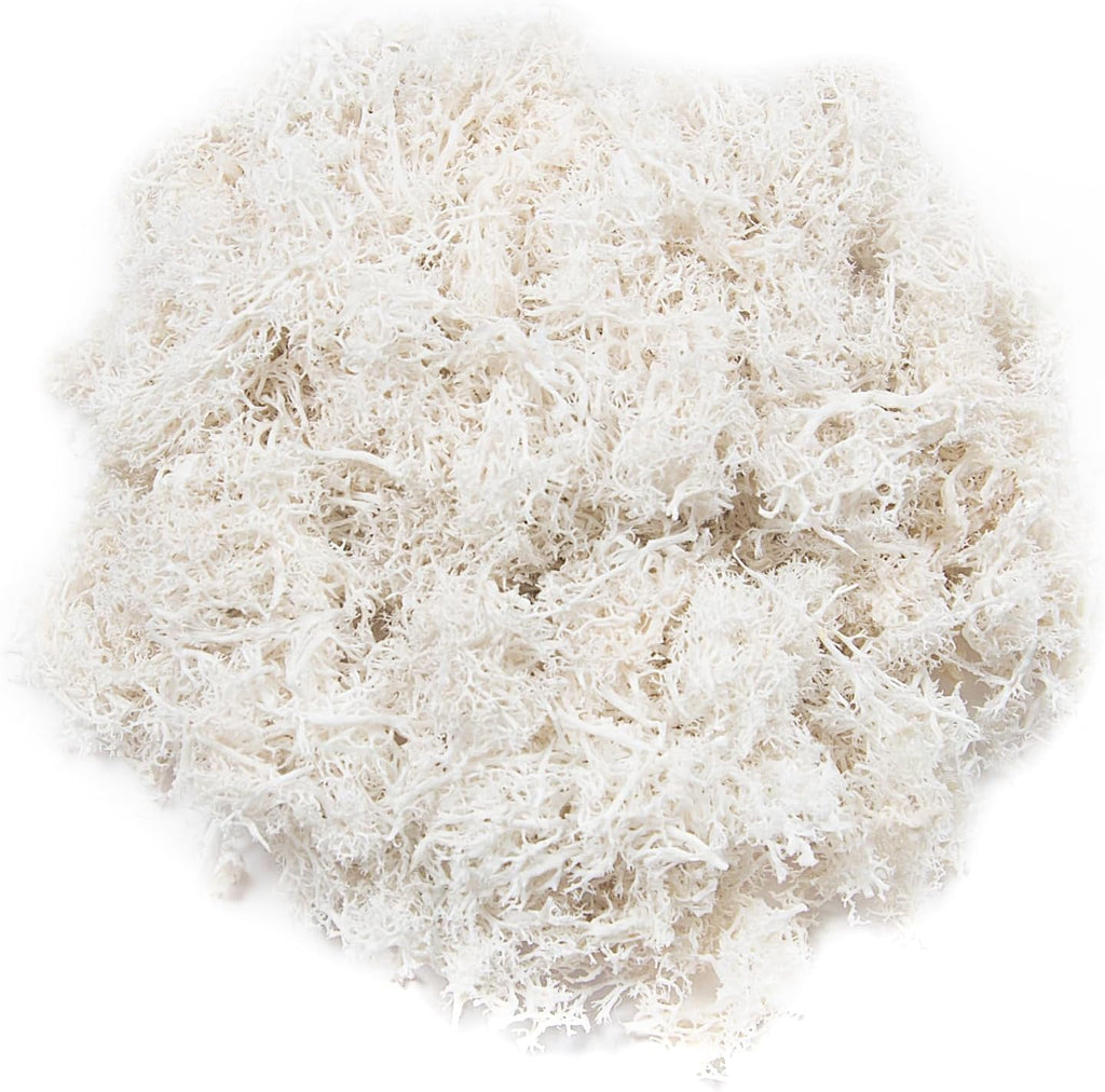 3.5 oz Artificial Moss for Plants Indoor, Fake Moss Preserved Reindeer Moss for Centerpieces Decor,Faux Moss for Moss Decor Home Decor Potted Plants Crafts Wedding Wall Decor(White)