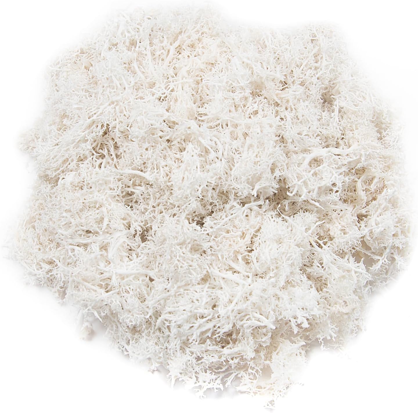 3.5 oz Artificial Moss for Plants Indoor, Fake Moss Preserved Reindeer Moss for Centerpieces Decor,Faux Moss for Moss Decor Home Decor Potted Plants Crafts Wedding Wall Decor(White)