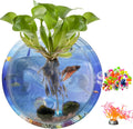 kathson Acrylic Wall Hanging Fish Bowl Wall Mounted Fish Tank Planter Fish Bubble Hanging Aquarium Hydroponic Plant Pot Betta Fish Tank Bowl for Home Decor Pot Decoration Planter (6.69 in)