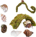 Hermit Crab Accessories 7PCS, Include 5PCS Hermit Crab Shells, 1PCS Climbing Toy and 1PCS Hermit Crab Hideout