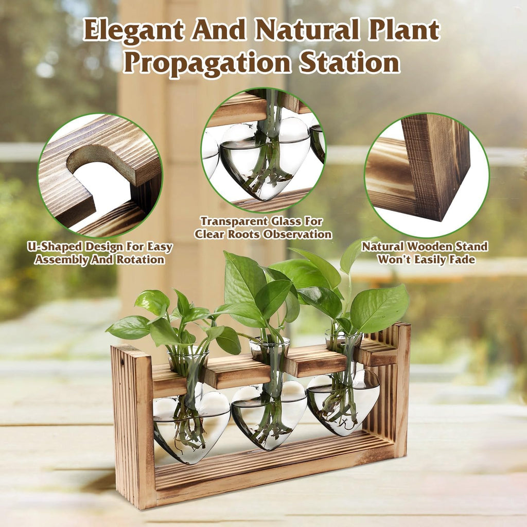 Plant Propagation Station, Plant Terrarium with Wooden Stand, Tabletop Glass Planter Desktop Plants Propagation Vase for Hydroponics Plants - 3 Heart Shaped Vases