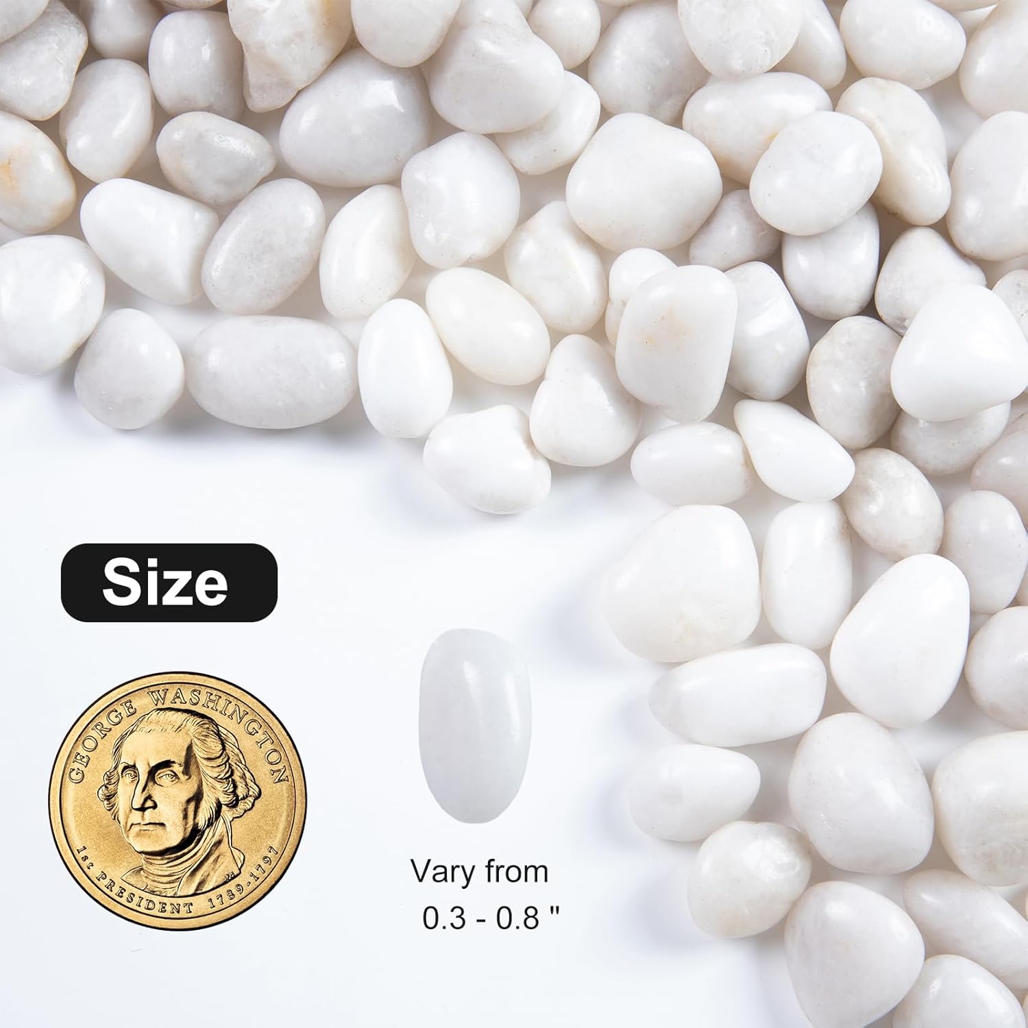 10LB White River Rock- High Polished Pebbles for Indoor Plants- Decorative Stones for Aquarium Fish Tank - White Rocks for Outdoor Garden Landscaping - 0.3"-0.8"