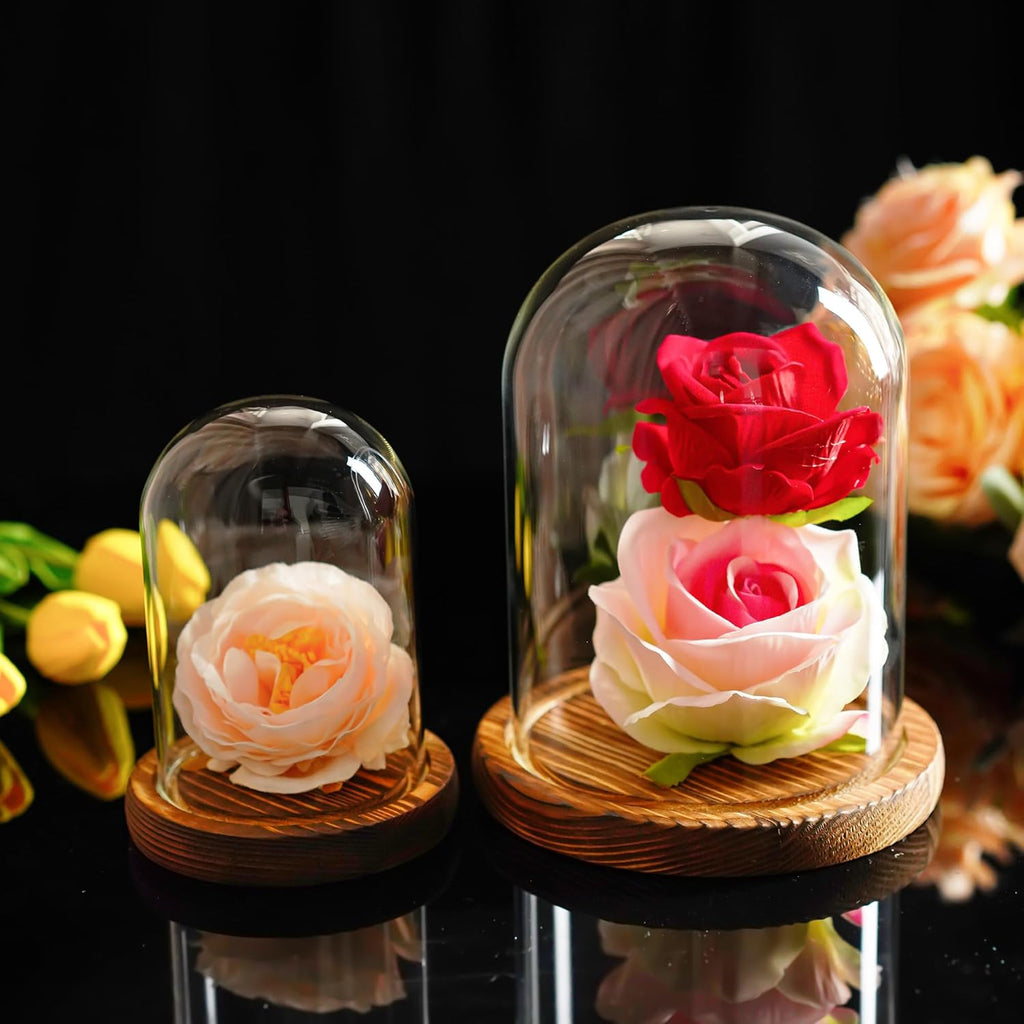 ZEERSHEE 2pcs Glass Display Dome Cloche with Wooden Base for Home Wedding Party Decor (3.9 x 5.1in/5.7 x 6.9in)
